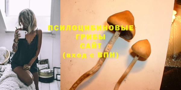 марки lsd Карпинск