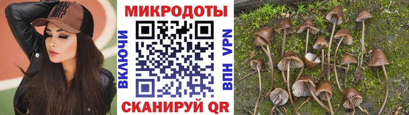Псилоцибиновые грибы мухоморы  Купить закладки  Ревда 